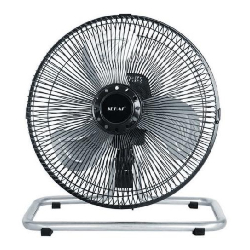 fan